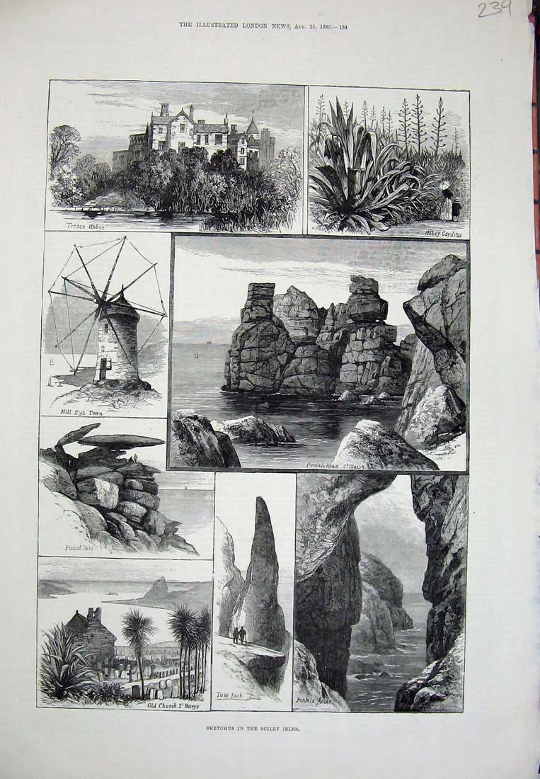 Old Antique Print 1883 Scilly Isles Tusk Rock Church Pulpit Tresco Abbey 19th