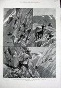 Old Antique Print Chamois Hunting Emperor Maximilian Innsbruck Buck 1895 19th