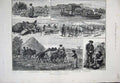 Original Old Antique Print 1883 Peasant Life Hungary Hungarian Shepherd Danube