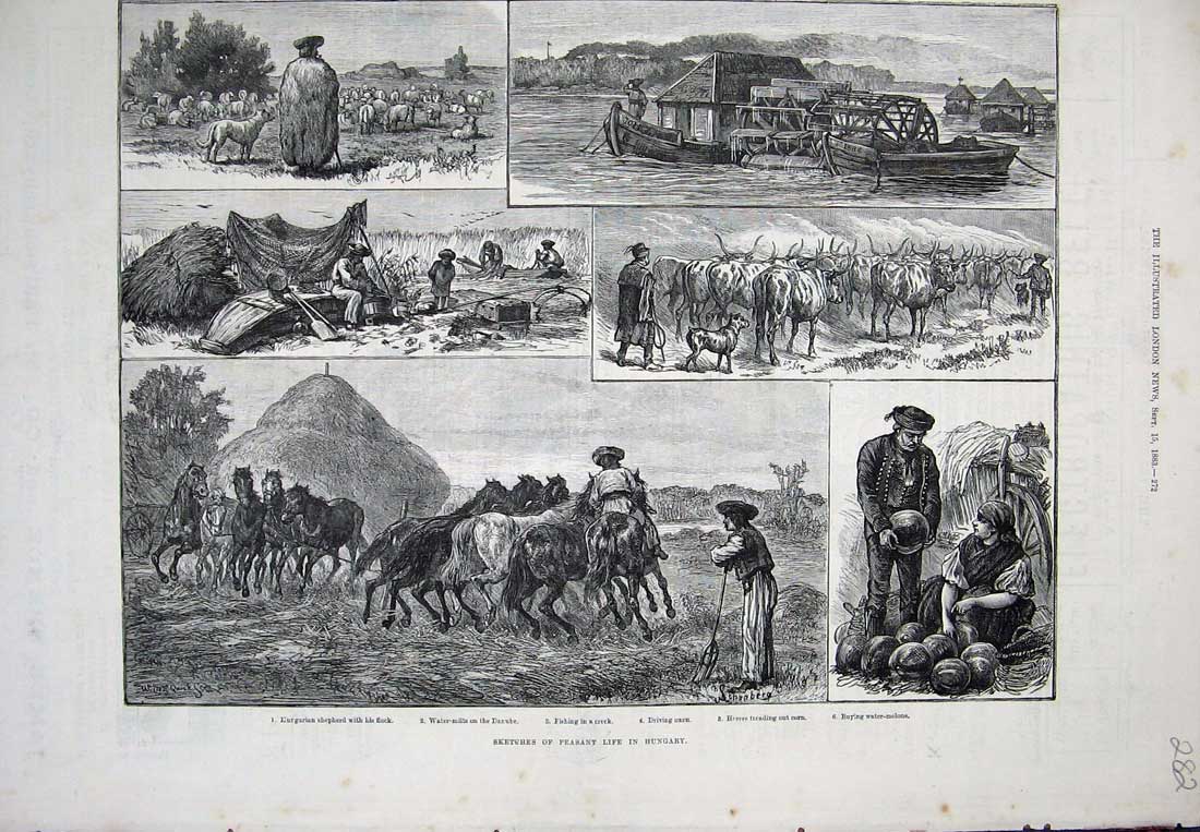 Original Old Antique Print 1883 Peasant Life Hungary Hungarian Shepherd Danube
