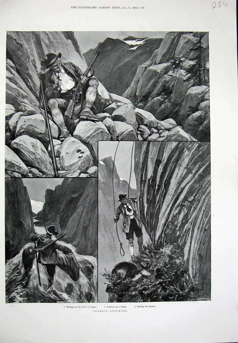 Original Old Antique Print 1895 Chamois Stalking Hunting Quarry Gorge Mountains