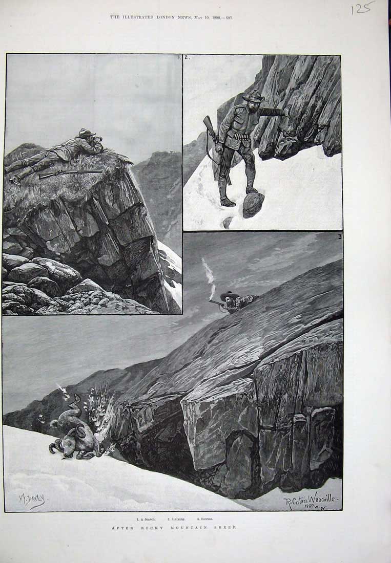Old Antique Print 1890 Rocky Mountains Sheep Goat Hunting Man Rifle Art 19th