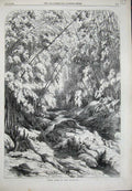 Original Old Antique Print Forest Scene Cuba 1869 River Trees Rocks Victorian