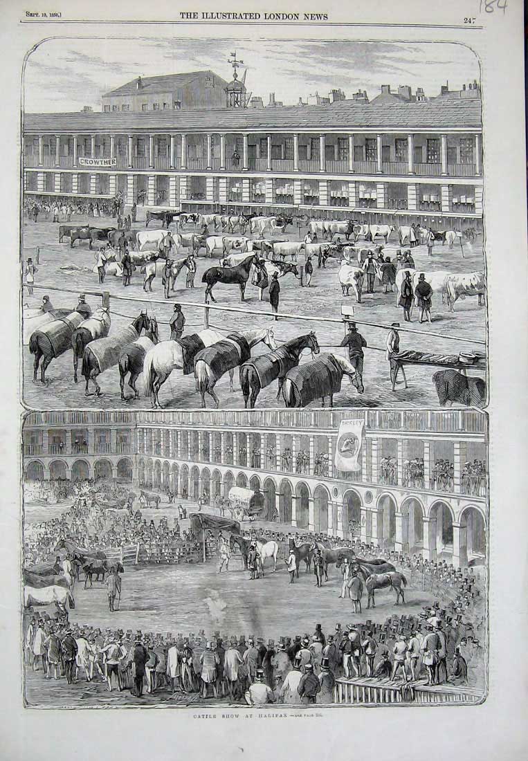 Original Old Antique Print 1859 Cattle Show Halifax Horses Cows Animals 19th