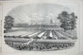 Original Old Antique Print 1851 Royal Agricultural Meeting Windsor Home Park