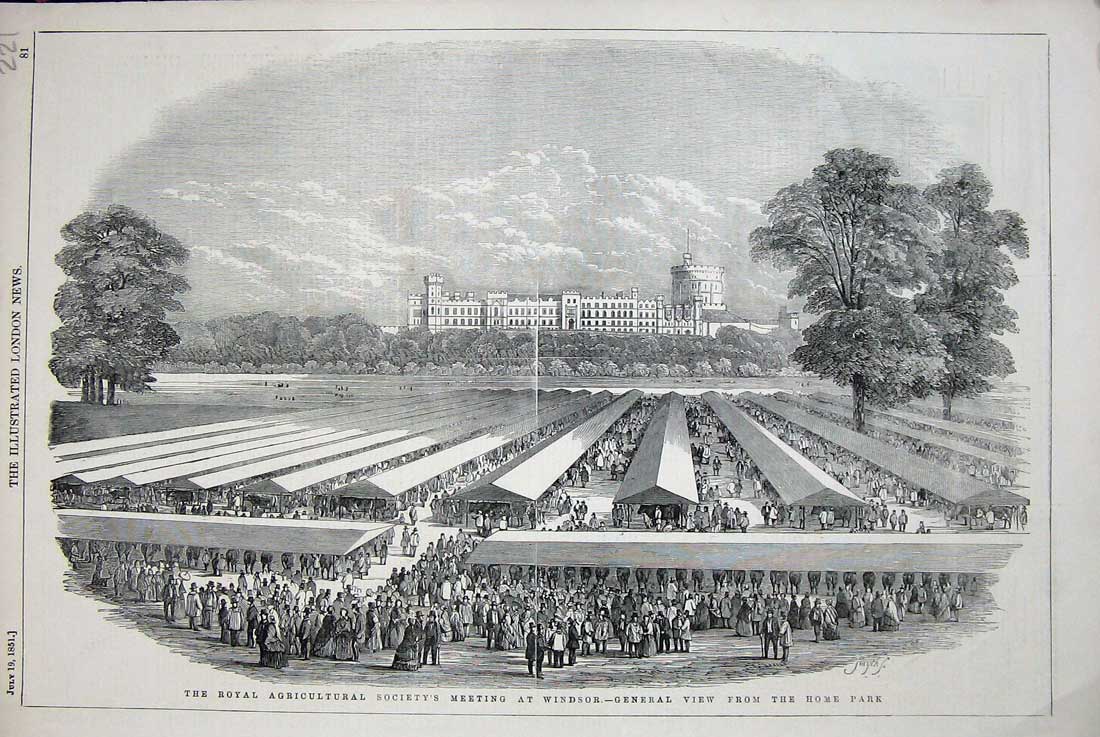 Original Old Antique Print 1851 Royal Agricultural Meeting Windsor Home Park
