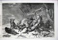 Old Antique Print 1854 Travellers Attacked Wolves Horse Man Gun Ansdell 19th
