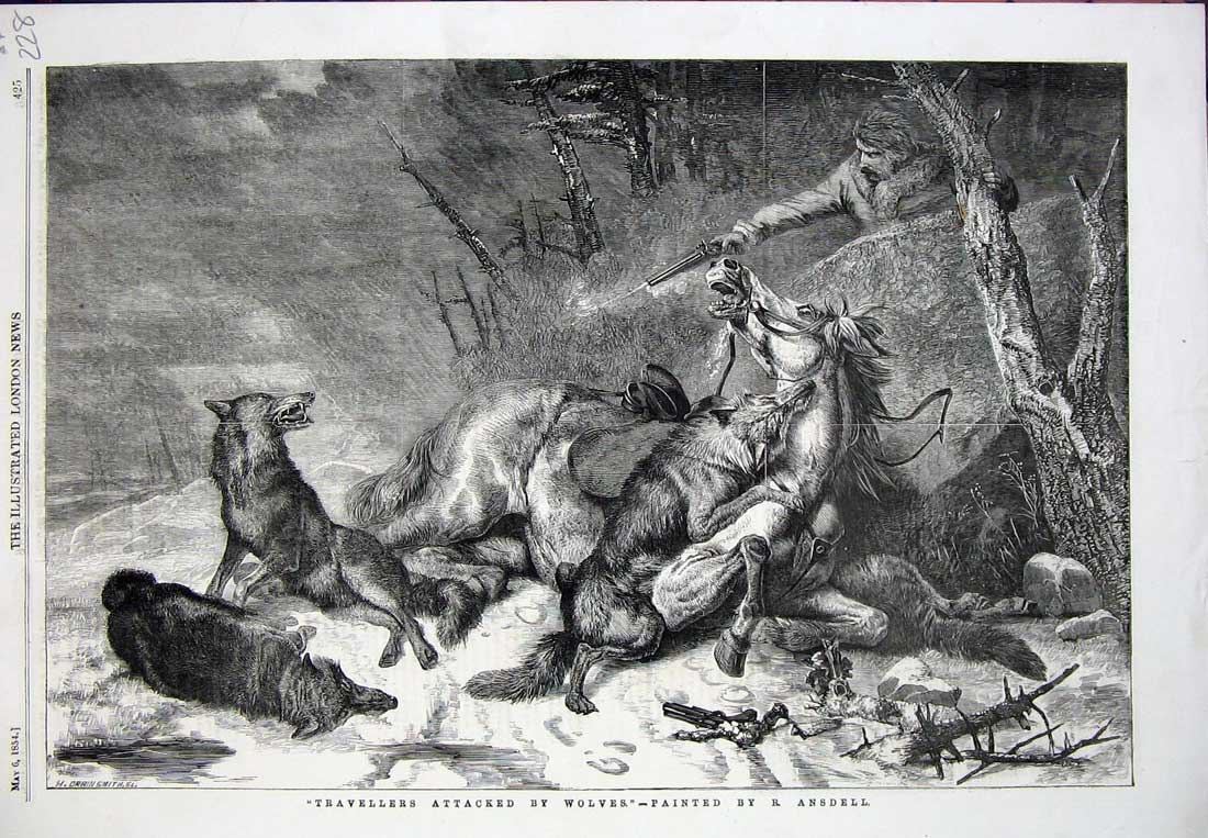 Old Antique Print 1854 Travellers Attacked Wolves Horse Man Gun Ansdell 19th