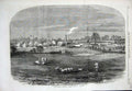 Old Antique Print 1858 View Prince Consort'S Model Farm Osborne Sheep Cow 19th
