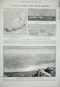 Old Antique Print 1906 Devon Somerset Staghounds Hunting Ship Wrecks Sea 20th