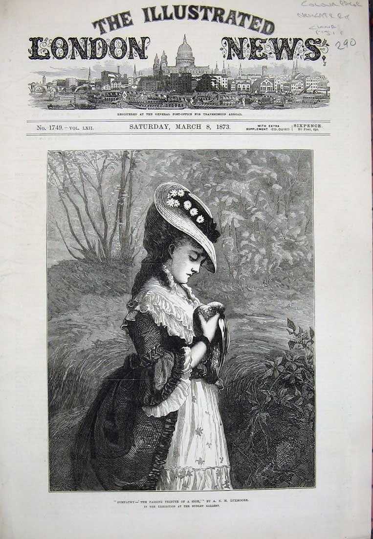 Original Old Antique Print 1873 Dudley Gallery Art Woman Dead Bird Lady Country