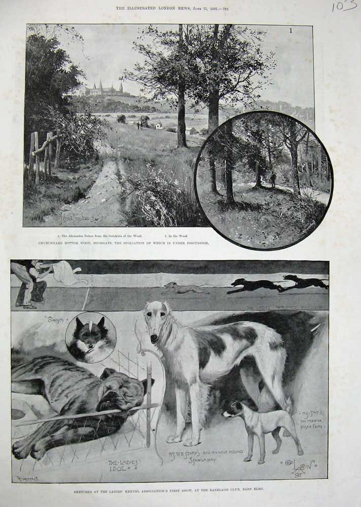 Old Antique Print 1895 Dogs Ranelagh Barn Elms Churchyard Wood Highgate 19th