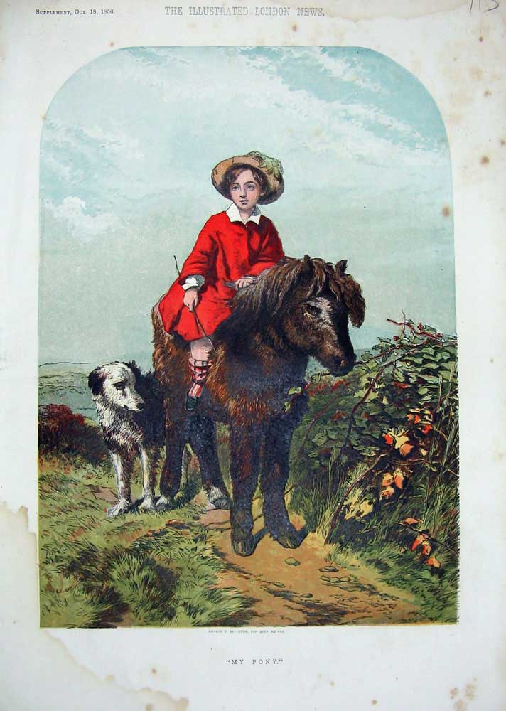Original Old Antique Print Colour 1856 Little Boy Country Pony Horse Dog 19th