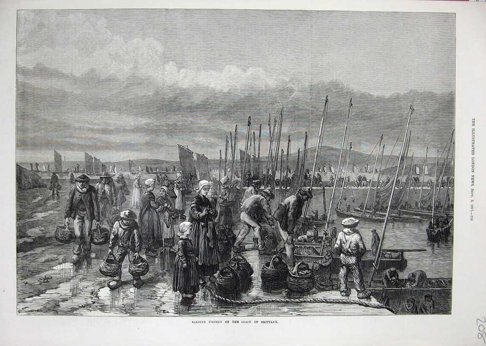 Original Old Antique Print 1871 Sardine Fishery Coast Brittany France Boats Art