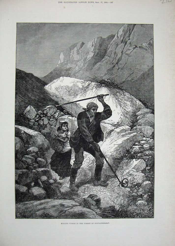 Old Antique Print 1884 Killing Vipers Snakes Forest Fontainebleau Hunting 19th