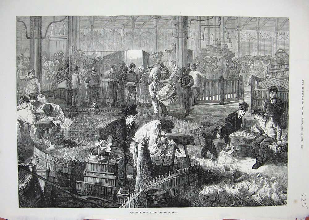 Antique Old Print *0315 1874 Poultry Market Halles Centrales Paris France Art