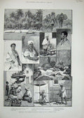 Old Antique Print 1889 Brazil Alagoas Native Girl Mulatto Fruit-Sellers 19th