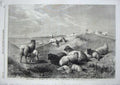 Original Old Antique Print 1862 Shepherds Life Sheep Country Animals Man Dog
