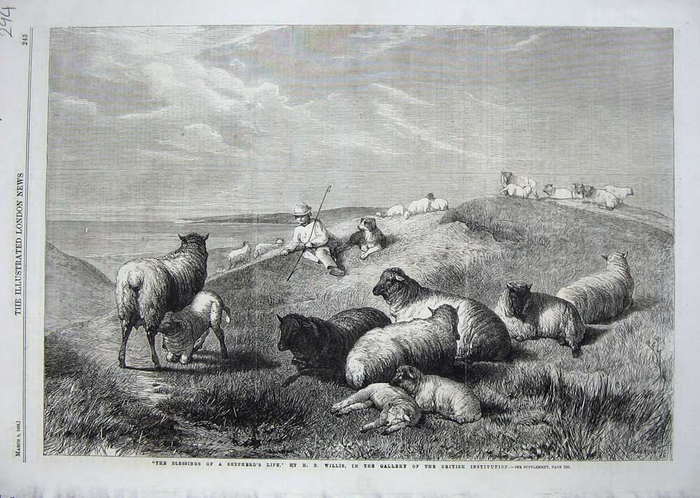 Original Old Antique Print 1862 Shepherds Life Sheep Country Animals Man Dog