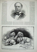 Old Antique Print 1891 Louis Wain Prince Wales Basset-Hound Dogs Sherman 19th