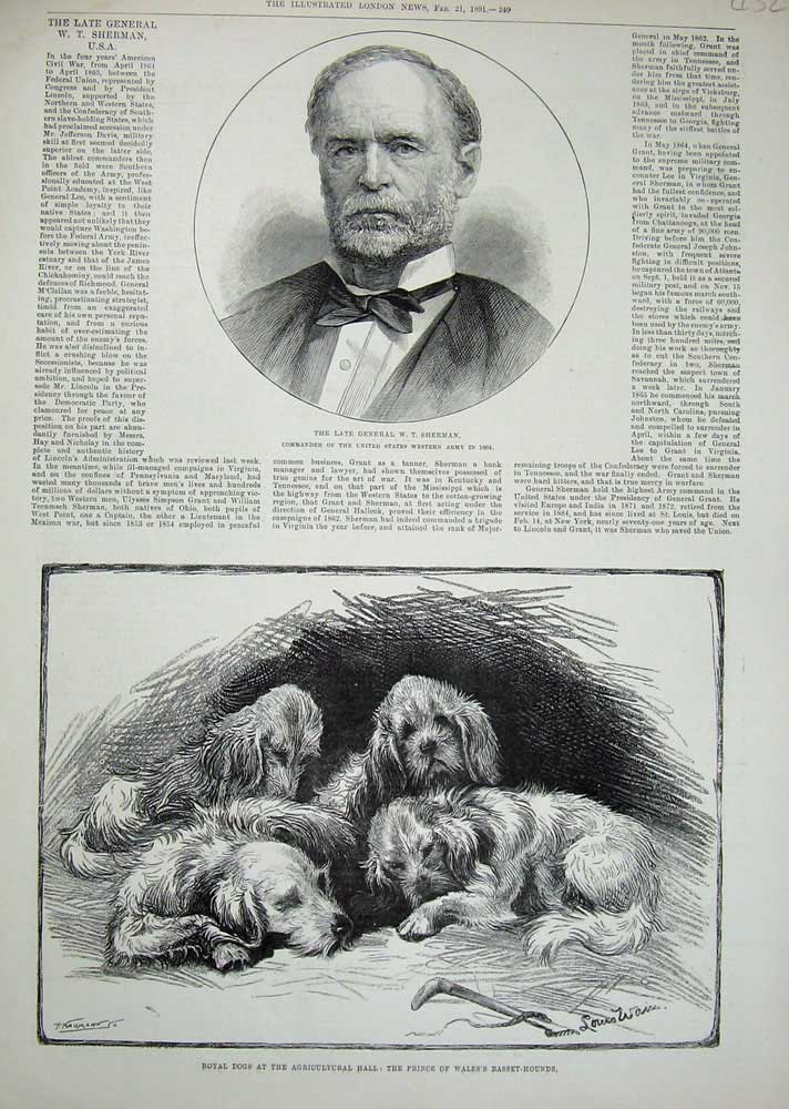 Old Antique Print 1891 Louis Wain Prince Wales Basset-Hound Dogs Sherman 19th