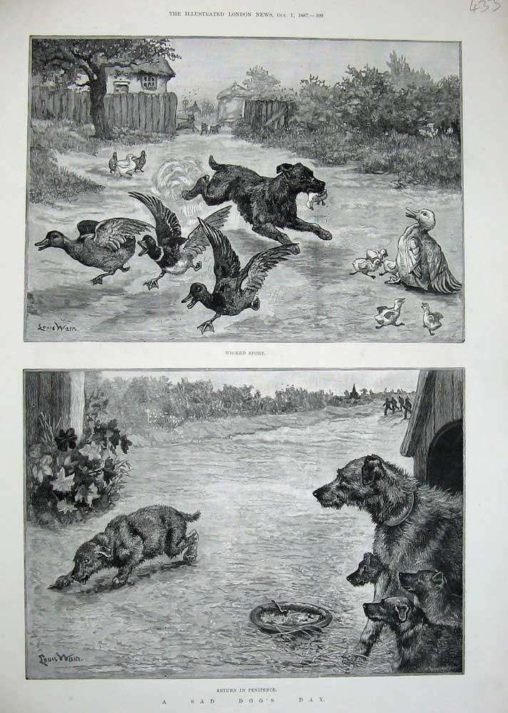 Old Antique Print 1887 Louis Wain Farmyard Animals Dogs Ducks Nature Art 19th
