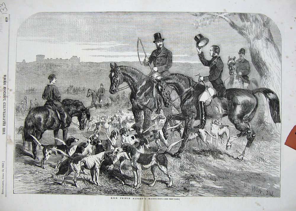 Original Old Antique Print 1856 Fox Hunting Prince Albert Harriers Hounds Sport