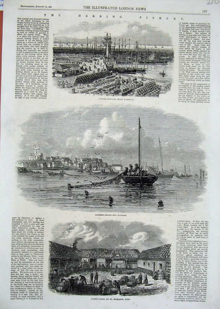 Old Antique Print 1862 Herring Fishing Wick Harbour Dunbar Fife Scotland 19th