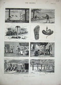 Old Antique Print 1887 Snakes India Cobra Charmers Police Native Sandal 19th