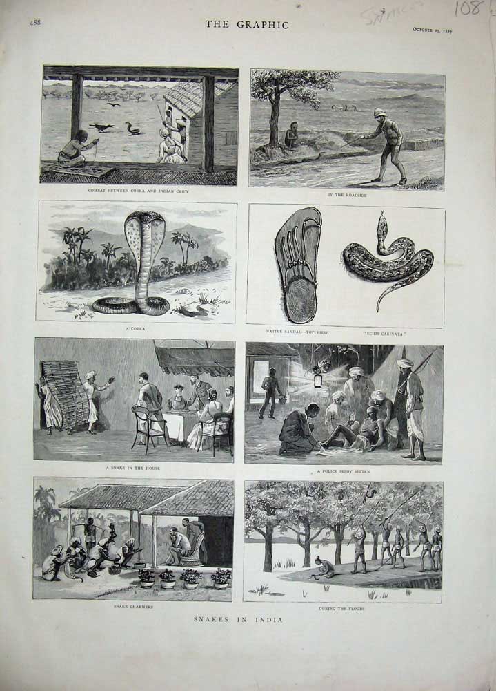 Old Antique Print 1887 Snakes India Cobra Charmers Police Native Sandal 19th