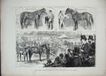 Antique Old Print *0320 1872 Middle Park Sale Blair Athol Gladiateur Horses