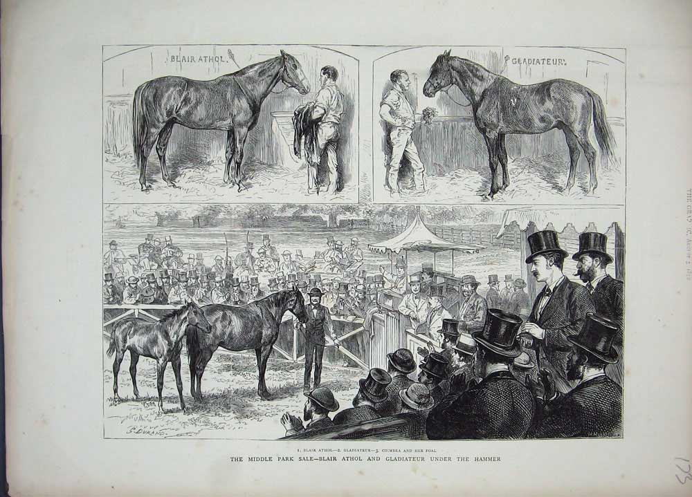 Antique Old Print *0320 1872 Middle Park Sale Blair Athol Gladiateur Horses