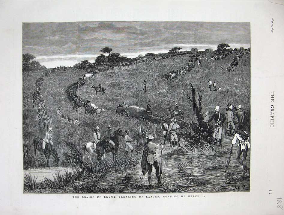 Original Old Antique Print 1879 Ekowe Breaking Laager Siers Cattle Fine Art War