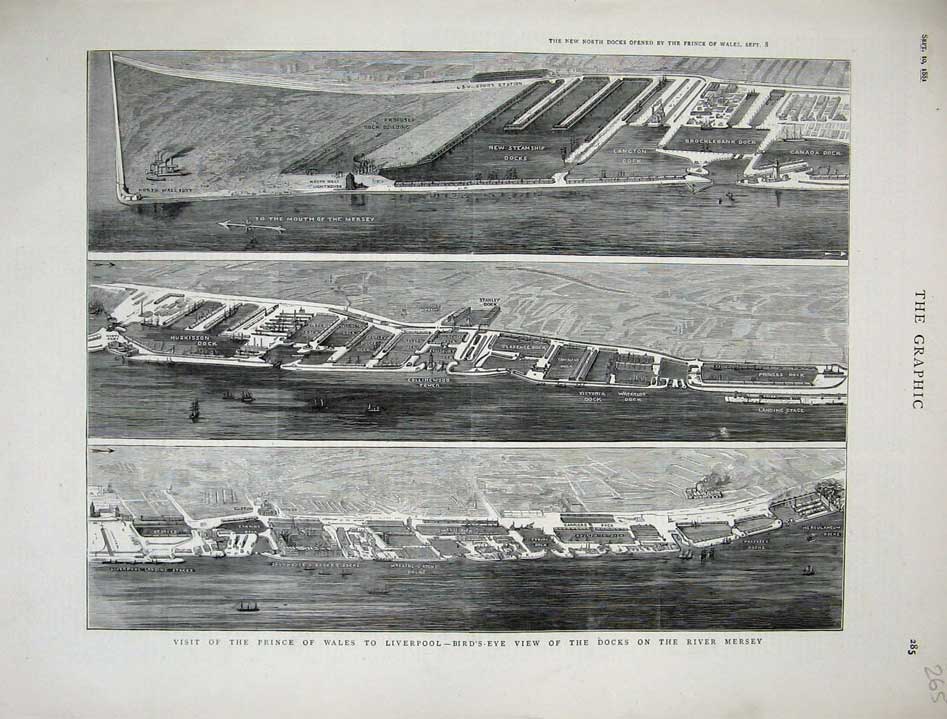 Original Old Antique Print Liverpool New North Docks River Mersey Victoria 1881