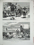 Old Antique Print 1878 South Africa Water-Cart Bowker'S Rovers Williamson 19th