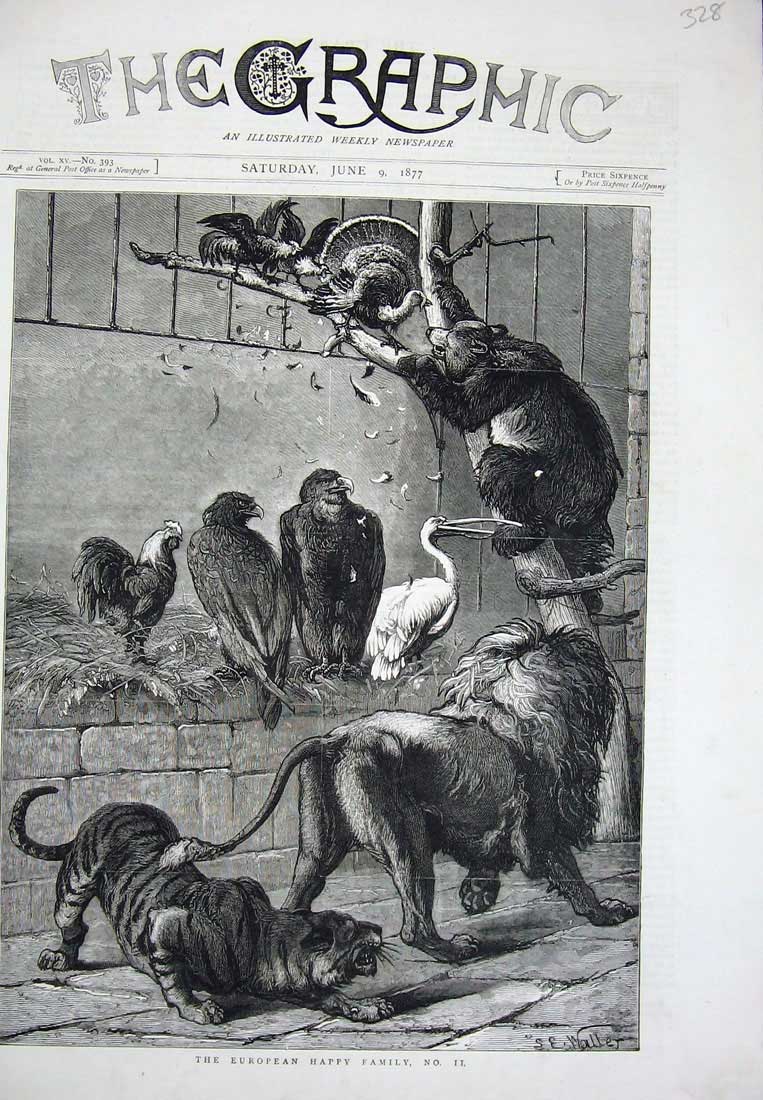 Old Antique Print 1877 Waller Fine Art Wild Animals Lion Tiger Vultures 19th