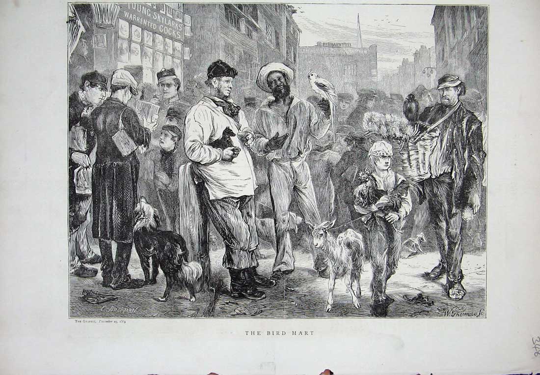 Original Old Antique Print 1869 Bird Mart Sale Animals Dog Goat Street Scene