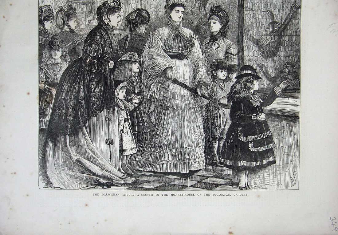 Original Old Antique Print 1871 Darwinian Theory Monkey House Zoologicalgarden