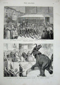 Old Antique Print 1876 America Philadelphia Elephant Crystal Hippodrome 19th