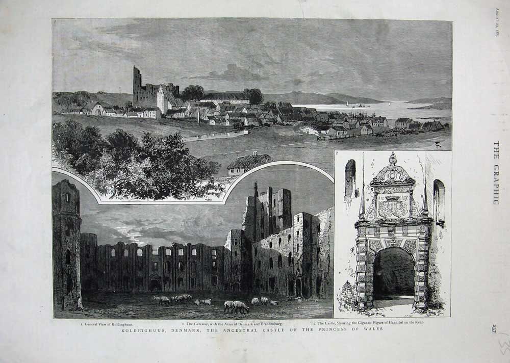 Original Old Antique Print 1885 Kinghuus Denmark Castle Brandeburg Hannibal