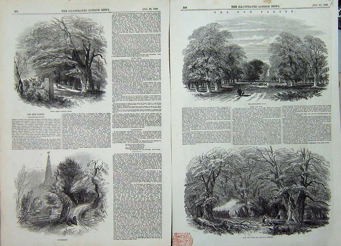 Original Old Antique Print 1848 New Forest Mark Ash Wood Charcoal Brokenhurst