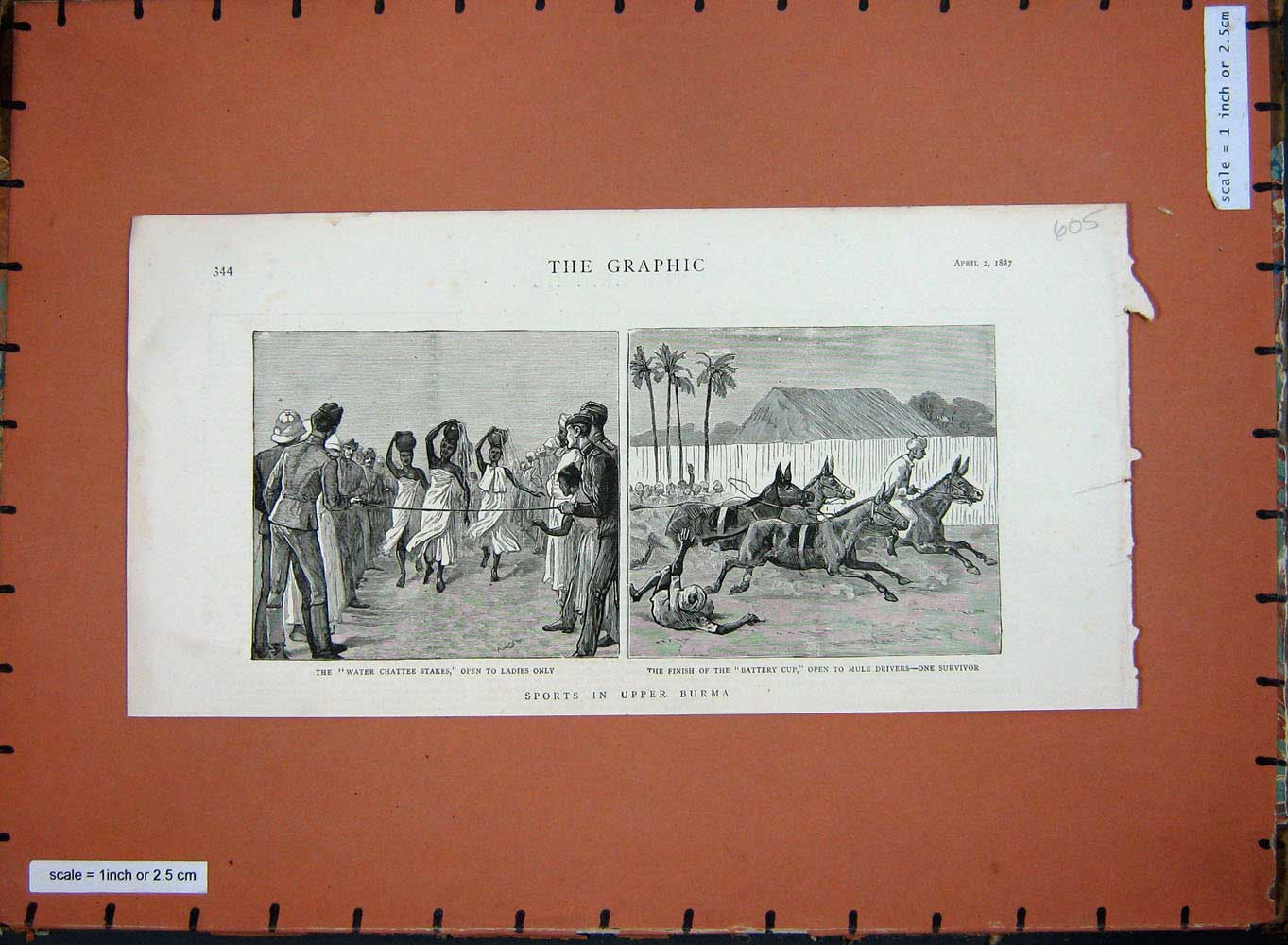 Original Old Antique Print 1887 Sports Burmah Mules Racing Ladies Water Chattee