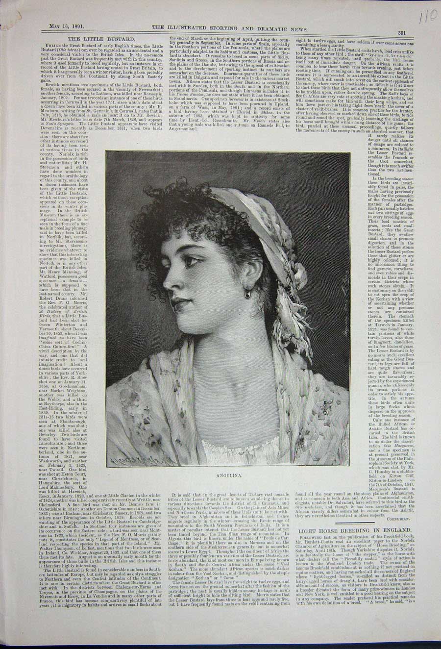 Original Old Antique Print 1891 Portrait Beautiful Woman Angelina Lady 19th