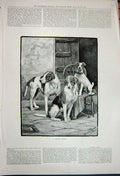 Original Old Antique Print 1891 Fannie Moody Fine Art Puppy Dogs Chair Pets