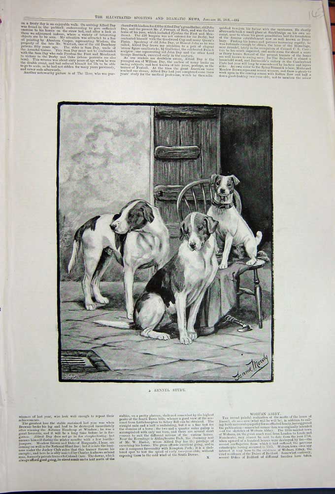 Original Old Antique Print 1891 Fannie Moody Fine Art Puppy Dogs Chair Pets