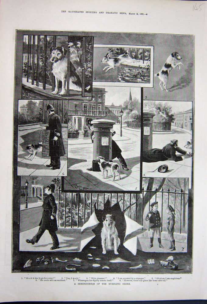 Old Antique Print 1891 Fine Art Puppy Dogs Street Policeman Children Boys 19th