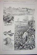 Original Old Antique Print 1891 Partridge Hunting Shooting Birds Sport Country