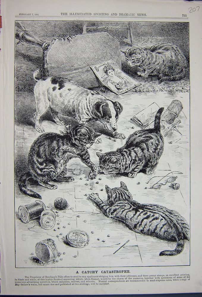 Original Old Antique Print 1891 Advertisement Beechams Pills Kitten Cats Pets