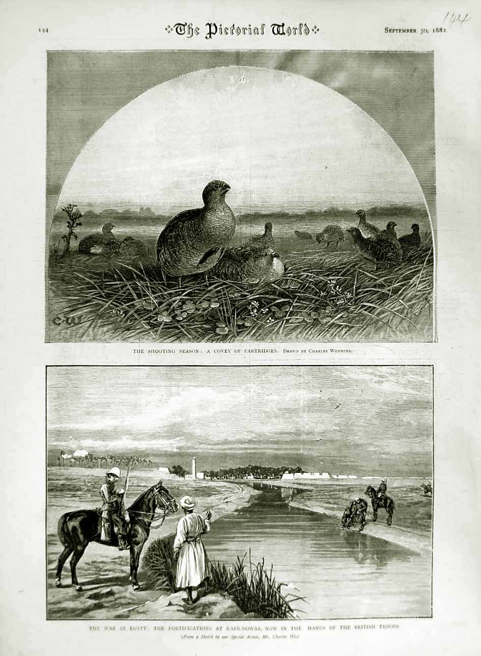 Original Old Antique Print 1882 Shoooting Sport Partridges War Egypt Kafr-Dowar