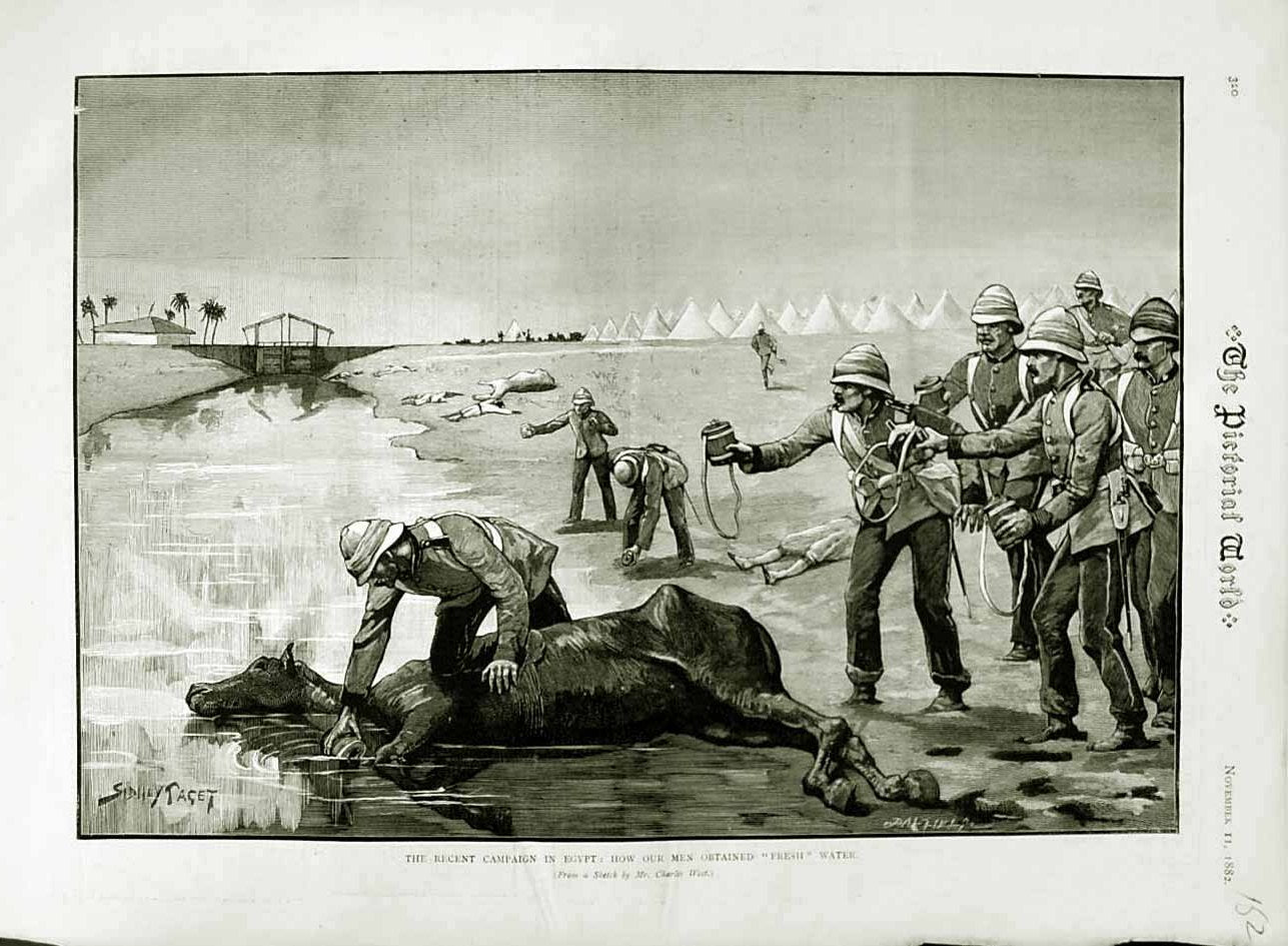 Original Old Antique Print 1882 War Egypt British Siers Dead Horse Water Hole